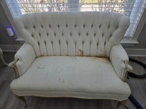 A dirty upholstered loveseat before cleaning, showing the need for Pure Steam Carpet Cleaning services in Nashville, TN