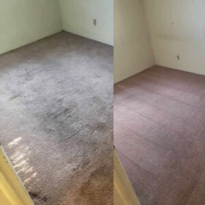 Comparison of dirty carpet before and clean carpet after service by Superior Clean Carpet and Upholstery Care in Jacksonville, FL