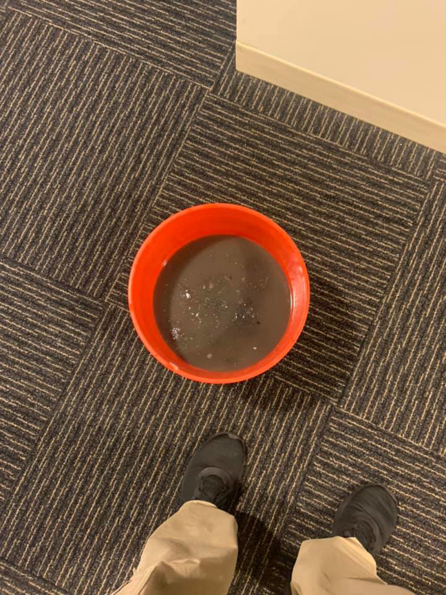 A bucket of dirty water on a patterned carpet, showing the effective cleaning results by CarpetMasters Restoration & Cleaning Co.LLC in St. Louis, MO.