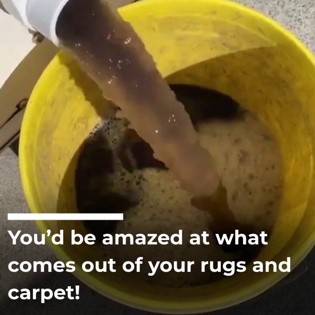 A bucket of dirty water extracted from a carpet, demonstrating effective cleaning by LS Upstate Cleaning in Greenville, SC.