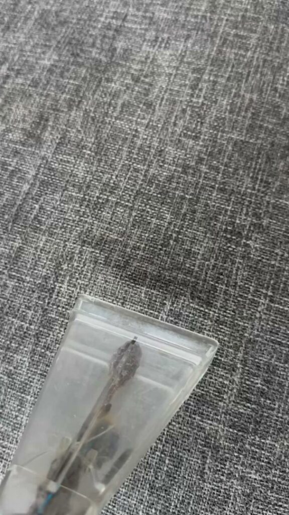 Close-up of dirty water being extracted from a carpet during cleaning by Champion Chem-Dry in Idaho Falls, ID.