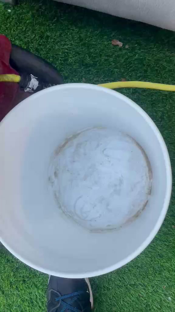A bucket of dirty, foamy water, indicating the successful removal of grime from a carpet cleaning job by Carpet Cleaners Plus in Chicago, IL.