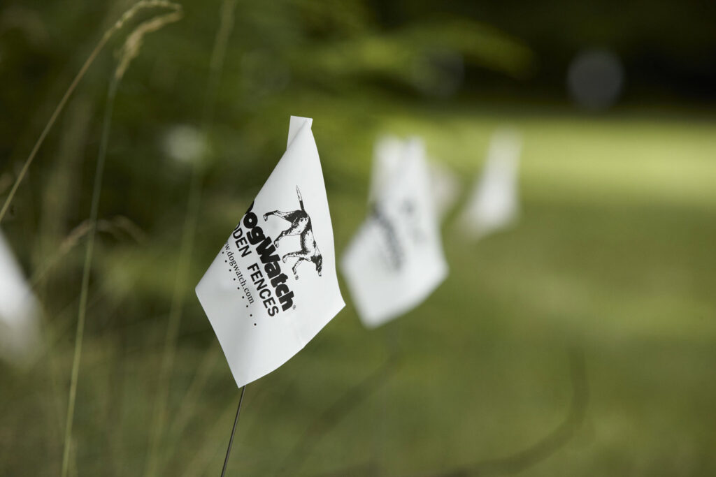 A close-up of a DogWatch Hidden Fences boundary flag, marking an installation area in Mount Pleasant, SC.