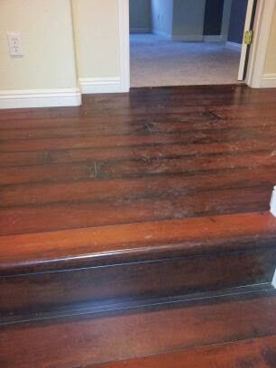 A doorway showing a transition from dark wood flooring to carpet, installed by Delgado Carpet Services in San Jose, CA