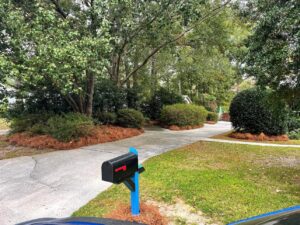 Landscaping with pine straw mulch along a driveway and around trees by Kirby's Lawn Care Service in Franklinton, LA.