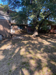 A backyard with dry grass and a large tree, indicating a need for lawn care services from A&B Lawn Services in Baytown, TX.
