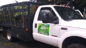 A white dump truck with Tony's Lawn Care Services decal, loaded with green waste for disposal in Greenville, SC.