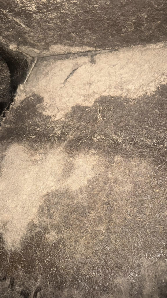 Close-up of dusty HVAC ductwork interior, highlighting the importance of air quality services from Charlie Foxtrot HVAC in Gilbert, AZ.