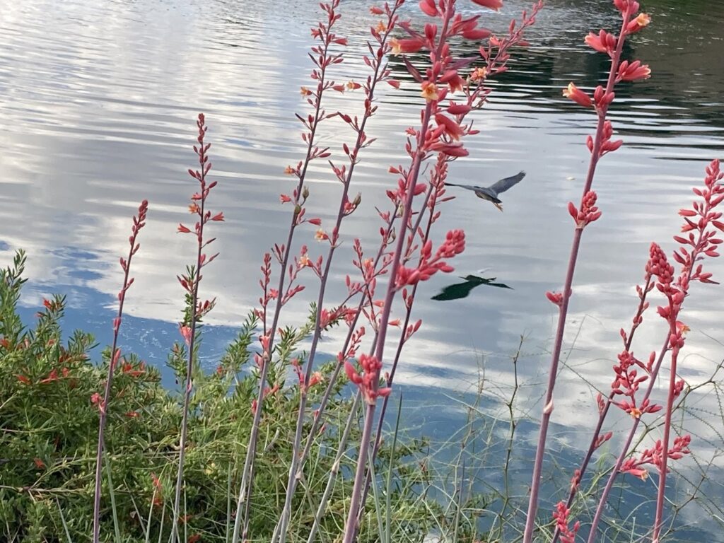 An Ecobee smart thermostat installed on a wall by Schiller Heating & Cooling in Tempe, AZ.