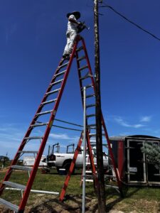An electrician on a tall ladder working on a utility pole for Big City Lighting and Electric in Houston, TX.