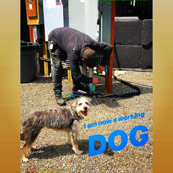 An electrician from Town Electric, Plumbing & Heating LLC working on outdoor wiring and utility boxes in Seattle, WA