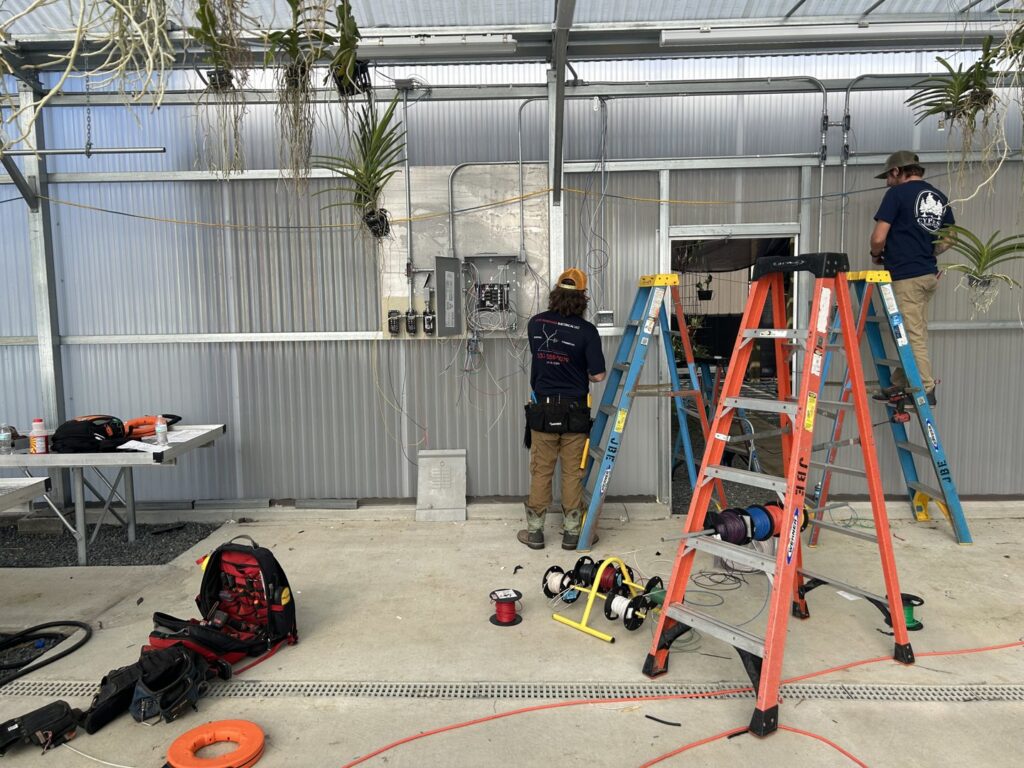 Two electricians installing electrical panels and wiring in a commercial space for Justin Benevage Electrical, LLC in Lake Charles, LA