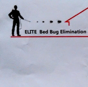 Elite Bed Bug Elimination and Pest Solutions