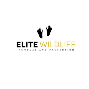 Elite Wildlife Removal and Prevention
