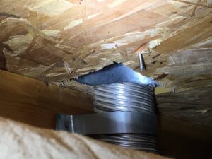 A Green Machine Pest Control employee in Mesa, AZ, holding two dead rats after a successful rodent removal service.