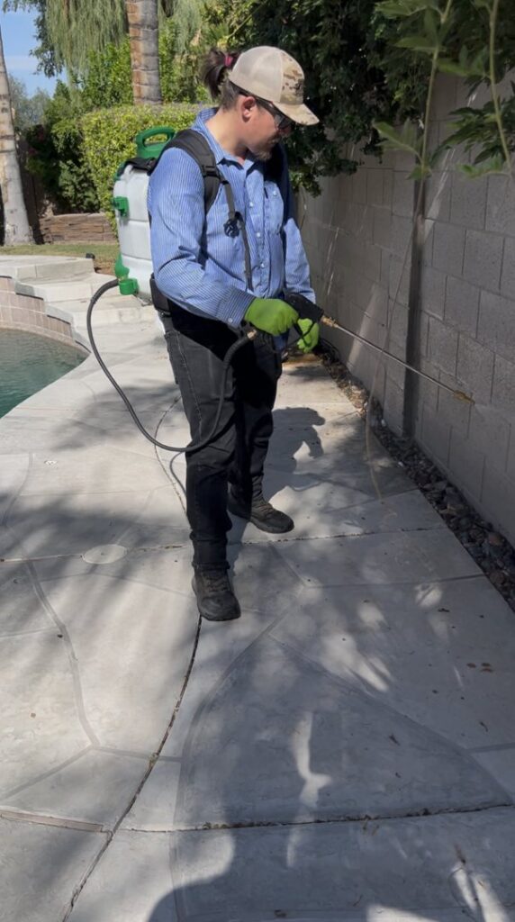 A Green Machine Pest Control employee spraying a liquid treatment around the perimeter of a pool area in Mesa, AZ.