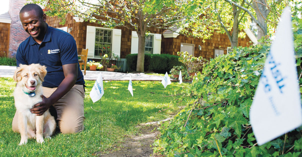An Invisible Fence of St. Louis employee training a dog with boundary flags in Springfield, IL.