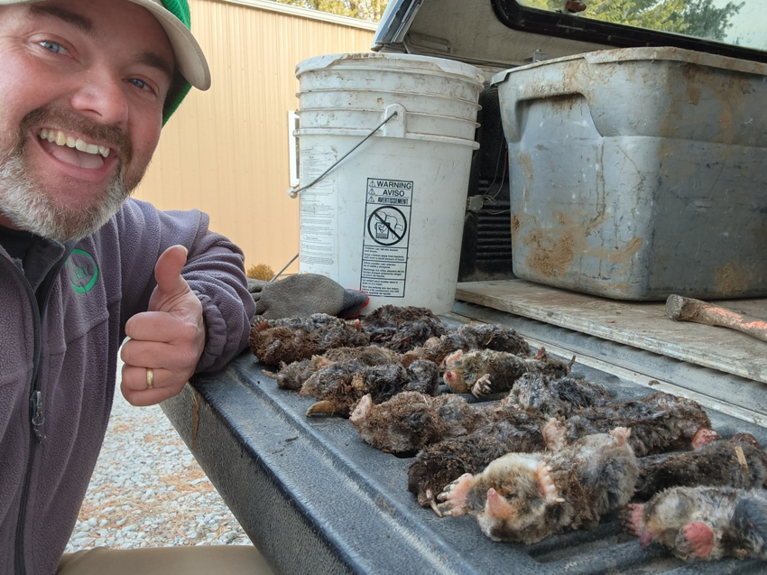 An employee proudly displays a successful mole catch in the back of a truck for All Friendly Mole Control & Pest Services in Saint Joseph, MO.