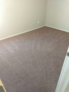 A freshly cleaned carpet with visible cleaning patterns in an empty room by Carpet Masters of Albuquerque, NM.
