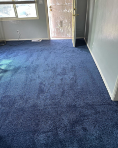 Entryway and hallway with new blue carpet installed by Jimenez Carpet in Lynwood, CA