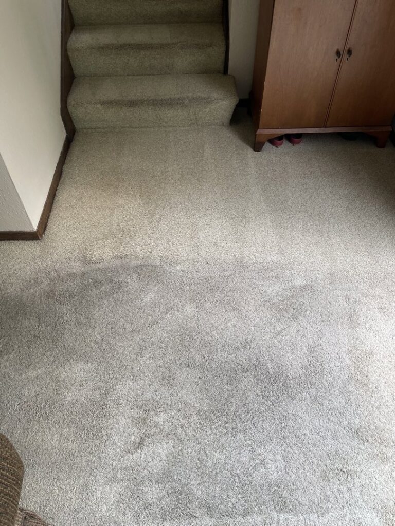 Entryway carpet cleaning in progress, showing a clean section next to a dirty area by Captain Clean in Muncie, IN.