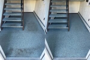 Before and after comparison of entryway and stairs carpet cleaning by Select Carpet Clean LLC in Scranton, PA.