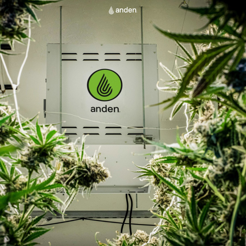 An Anden environmental control unit installed in an indoor grow facility by Anden in Madison, WI.