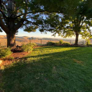 An expansive view of a black metal fence integrated into a landscape by ZBros Fencing LLC in Boise, ID.