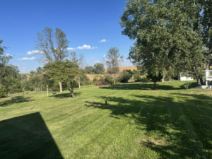 An expansive, neatly mowed lawn with visible stripes, showcasing professional lawn care by Bramble Clean Cut Lawn Care LLC in Independence, MO.