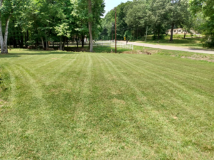 An expansive, neatly mowed lawn with distinct stripes, demonstrating expert lawn care by Justice Lawn and Limbs in Jackson, TN.