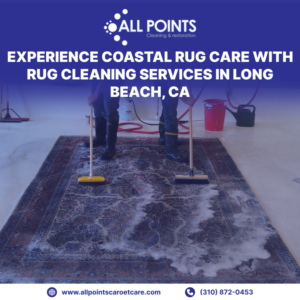 Two experts performing area rug cleaning services for All Points Cleaning and Restoration in Long Beach, CA.