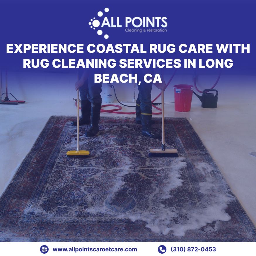 Two experts performing area rug cleaning services for All Points Cleaning and Restoration in Long Beach, CA.