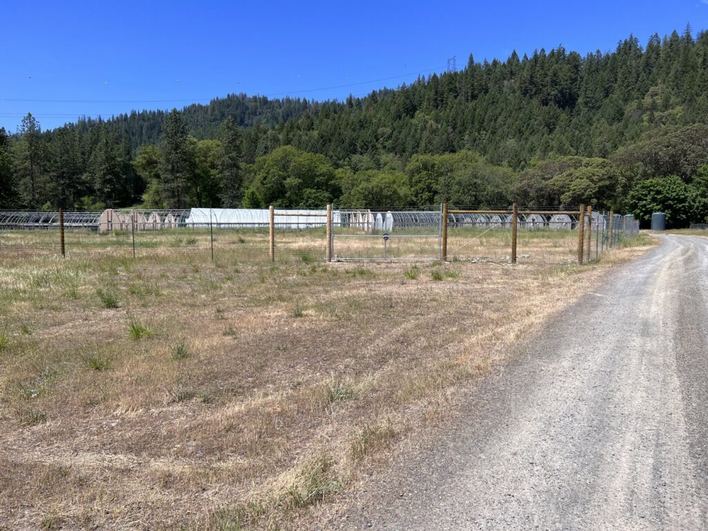 An extensive chain-link fence installation with a gate for a large property by Prestige Fencing LLC in Medford, OR.