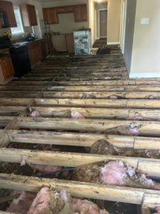 Extensive termite damage visible on wooden floor joists in a home, handled by Hoffman Exterminating in Belle Chasse, LA