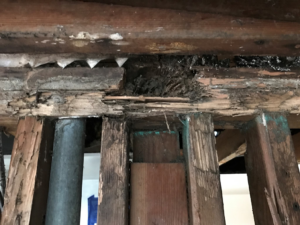Extensive termite damage and mud tubes on a wood structure, a common pest control problem for Omega Termite and Pest Control in Oakland, CA.