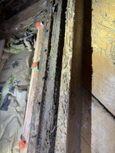 Extensive termite damage on wooden planks and insulation, showing severe pest infestation addressed by Endurance Pest Management LLC in Stillwater, OK.