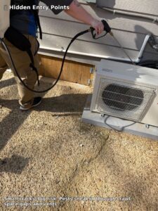 A Rosie's Pest Control technician treating a house exterior and foundation for pest entry points in Memphis, TN.