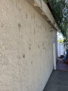 An exterior wall showing pest rub marks or stains, indicating activity addressed by Ark Pest Management in Anaheim, CA.