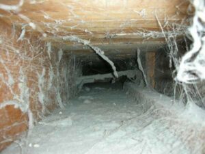 An extremely dirty air duct interior filled with dust and cobwebs, showing the need for cleaning by Fresh N Clean Duct Cleaning in Arvada, CO.