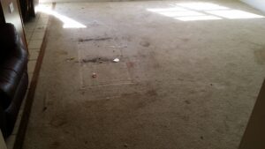 An extremely dirty carpet with visible debris and stains, indicating a need for professional cleaning by All Out Carpet Cleaning in Kailua Kona, HI.
