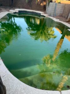 An extremely dirty, green pool, illustrating a common problem solved by Space Ranger Pools in Gilbert, AZ.