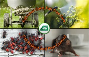 A collage highlighting fall rodent and pest control services, including boxelder bugs and rats, by All Green Pest Control and Lawn Care in Provo, UT.