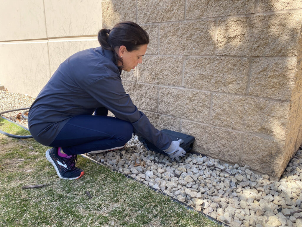 A female technician placing a pest bait station against a stone wall for Pest Free Rochester in Rochester, MN.