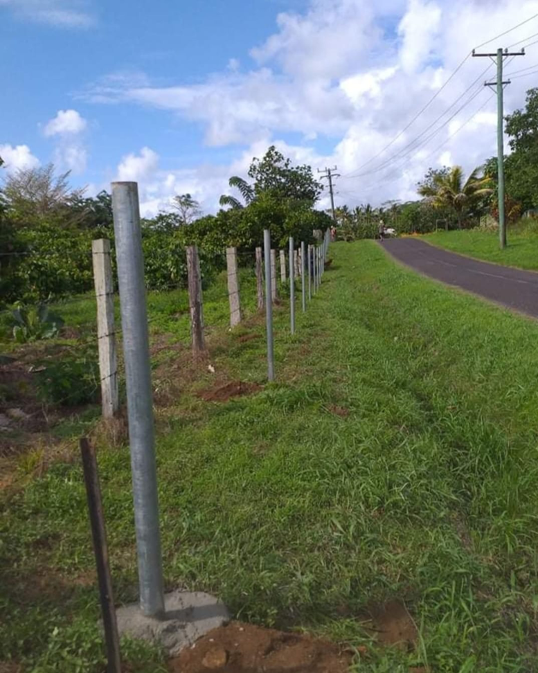 Fence posts with concrete bases installed along a roadside by Samoa Fencing in Faleata, Apia, Samoa.