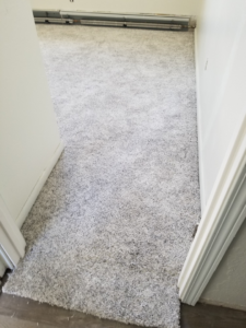 Finished carpet installation at a doorway transition by Rendon Flooring in Green River, WY.