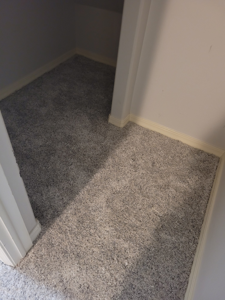 Finished light grey carpet installation in a room by Rendon Flooring in Green River, WY.