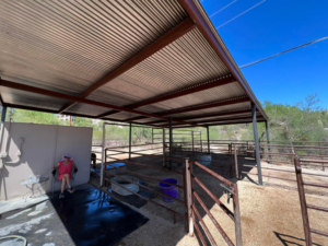 Finished metal fencing and covered animal pen structure installed by TACK Fabrication in Romero, Tucson, AZ.