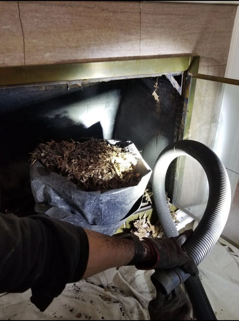 A technician from Eagles Nest Chimney Services and more of Cincinnati LLC vacuuming leaves and debris from a fireplace in Cincinnati, OH.