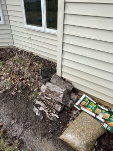 Stacked firewood and debris next to a house foundation, a potential pest harborage, inspected by Ramer Pest Control in Fort Wayne, IN.