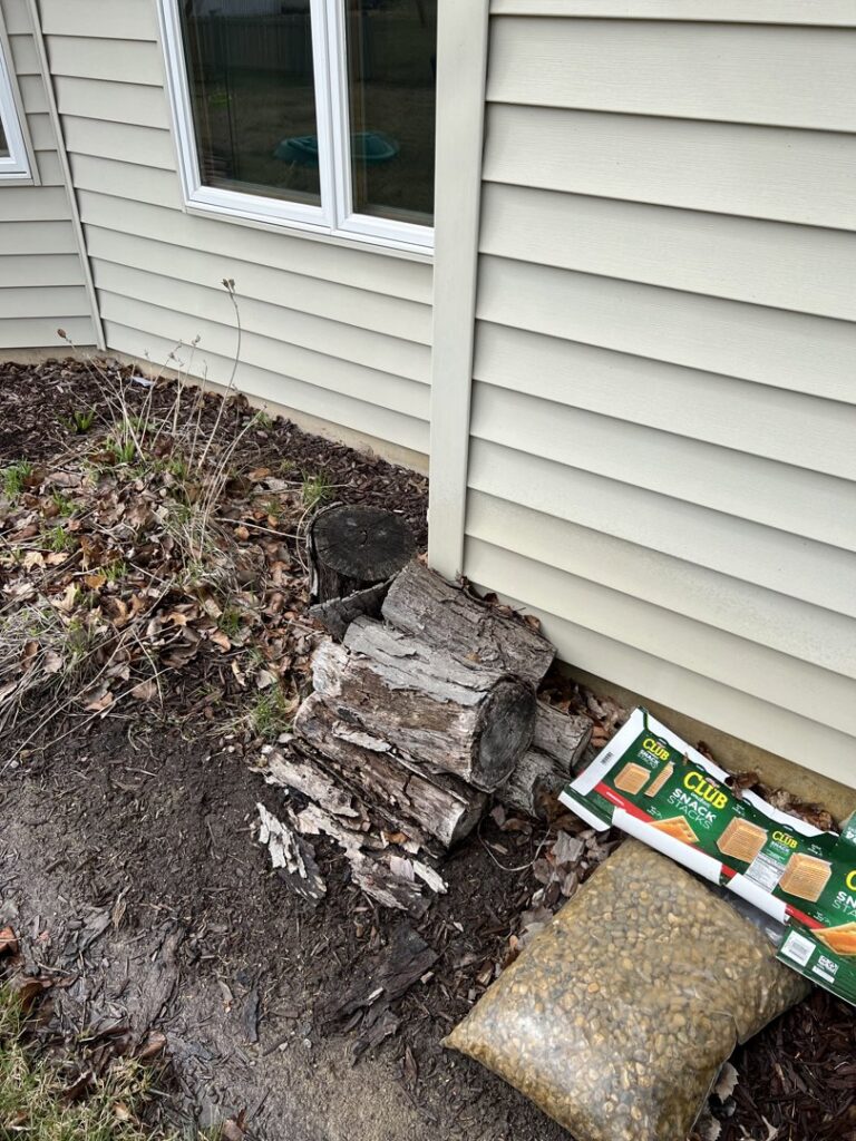 Stacked firewood and debris next to a house foundation, a potential pest harborage, inspected by Ramer Pest Control in Fort Wayne, IN.